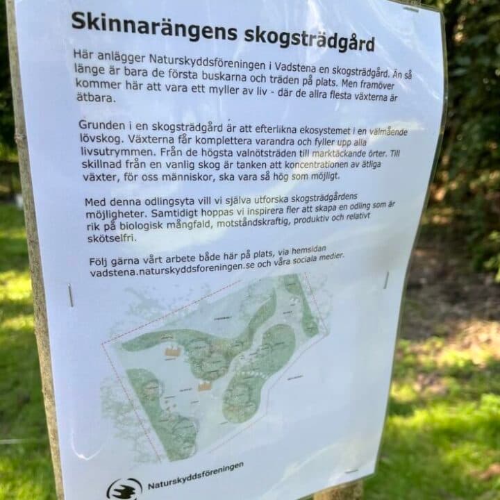 Beskrivning av skogsträdgården.